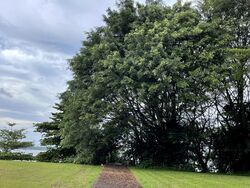 Bungalows By the Sea (D27), Detached #432504101